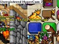 tibia