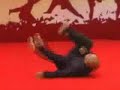 Tai Sing Pek Kwar - Monkey Style - [?????]