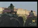 The People of Rajasthan -- India Travel