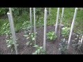 Garden Tour May 17, 2012