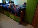 14931.html