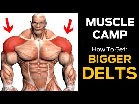 how to build big shoulders