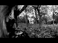Winter Storm - The Embrace