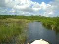 videos de Airboating in Everglades - 1