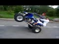 DENJA ( PAKARA ) Bz Clip - 420 Clan Cambell DENJA ( PAKARA ) Bz Clip - 420 Clan Cambell