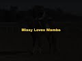 Missy Loves Mambo