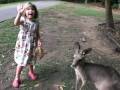 videos de frida-matar-hopp-hopp