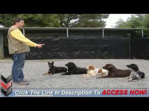 how to train attention