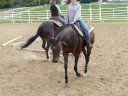 Doing some lope/trot poles with Mags. Doing some lope/trot poles with Mags.