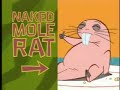 Ron Stoppable & Rufus - Naked Mole Rap [DVD RIP]