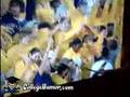 LSU Fans are Heauxmeauxsexuals LSU Fans are Heauxmeauxsexuals