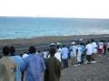 SXM mustangs