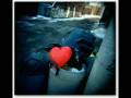 What`s going on von Yvi