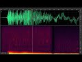 Indulge your ears. MT @neptunecanada: Recording of a recent earthquake, followed by sea lion yelps http://t.co/kz3ctLc5
