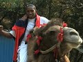 Warriors Tour The Great Wall