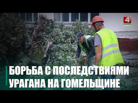 Как Гомельщина борется с последствиями урагана видео