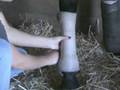 Tips of the Trade - Wrapping Stall Bandages