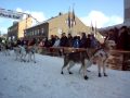Dag starting Pasvik Trail Sled Dog Race 2008