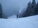 Beppe e Tommy (con Pozzo e Espo) sui bigfoot ad Asiago