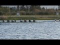 ΚΩΠΗΛΑΣΙΑ 19/4/2012/ΑΠΟΓΕΥΜΑ ΠΡΟΠΟΝΗΣΗ 7