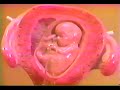 Sigaw ko Pakinggan mo Prolife Part 1