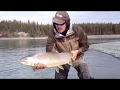 Alaska Fly Fishing 32" Kenai River Rainbow Trout ...