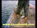 BALIK TUTMA