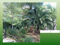 E�as\