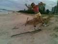 sandboarding girl