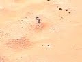 Sossusvlei