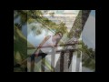 Club Med.wmv