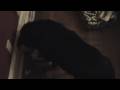 Why people with pets shouldn\