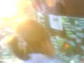Tommy Burns Fans Tribute !