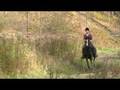 videos de Tigger & Moi