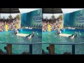 Miami seaquarium killer whale show in 3D