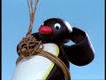 Pingu Wants To Fly