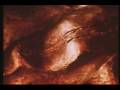 videos de DEG