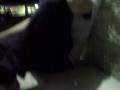 videos de Juke Your Mom