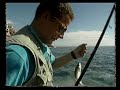 Pesca desde roca en Cabo de Gata