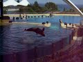 Loro Parque - Show Orca Ocean