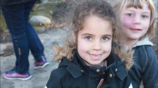 COLÒNIES PICASOQUES 2017