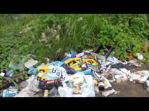 Lixão a céu aberto causa incômodo aos moradores do Setor Solar Betel, em Mineiros (GO