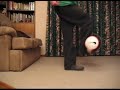 matt freestyle - Flick Up Tricks