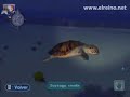 ERCanalisis: Análisis/Review Endless Ocean [Wii]