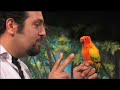 Beatboxer Adam Matta & Kimba Part 4 Beatboxer Adam Matta & Kimba Part 4