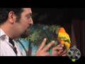 Beatboxer Adam Matta & Kimba Part 4