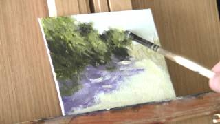 Time Lapse - Ancil Hoffman Park