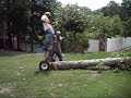 Where do old trees go? Where do old trees go?