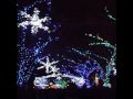 OSAKA光のルネサンス2009＠淀屋橋.wmv