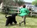 Afgano video